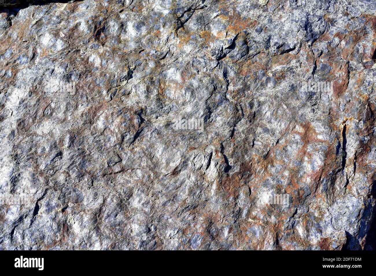 Scisti neri nel Parco Nazionale della Sierra Nevada. Scist è una roccia metamorfica. Foto Stock