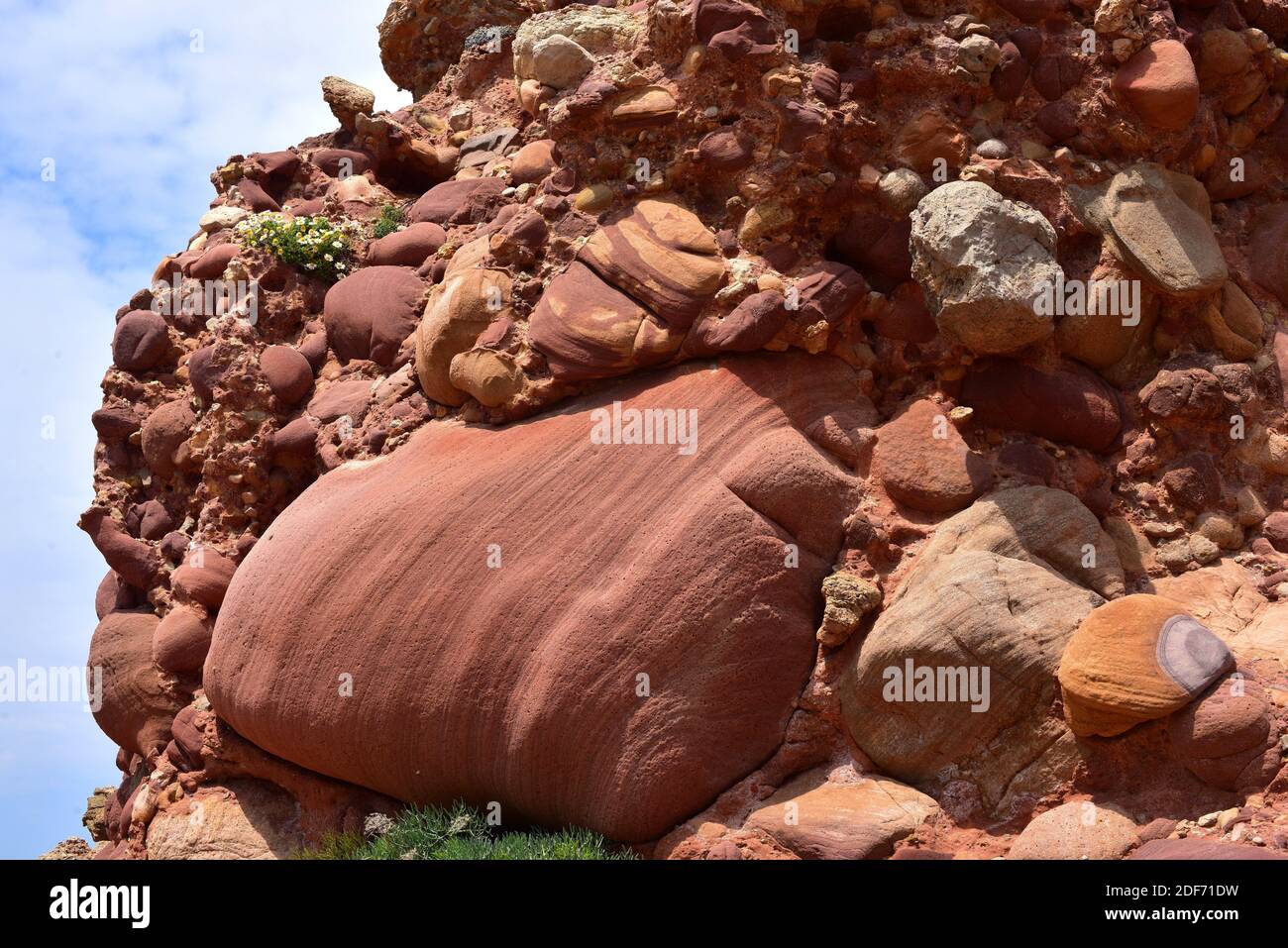 Conglomerato di Miocene con ciottoli di arenaria. Questa foto è stata scattata a Cala Morell, Isola di Minorca, Isole Baleari, Spagna. Foto Stock