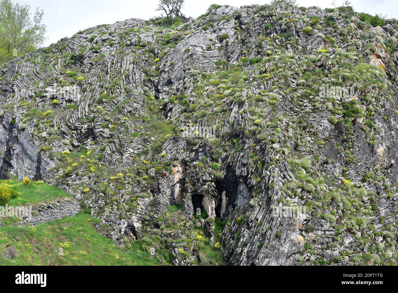 Anticlina e sincline si piega nella catena montuosa della Cantabria, Riserva della Biosfera di Babia, provincia di Leon, Castilla-Leon, Spagna. Foto Stock