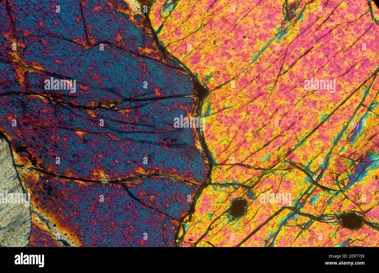 Dunite o olivinite è un igneo intrusivo rock ultramafico. Fotomicrografia, sezione sottile. Luce polarizzata. Foto Stock