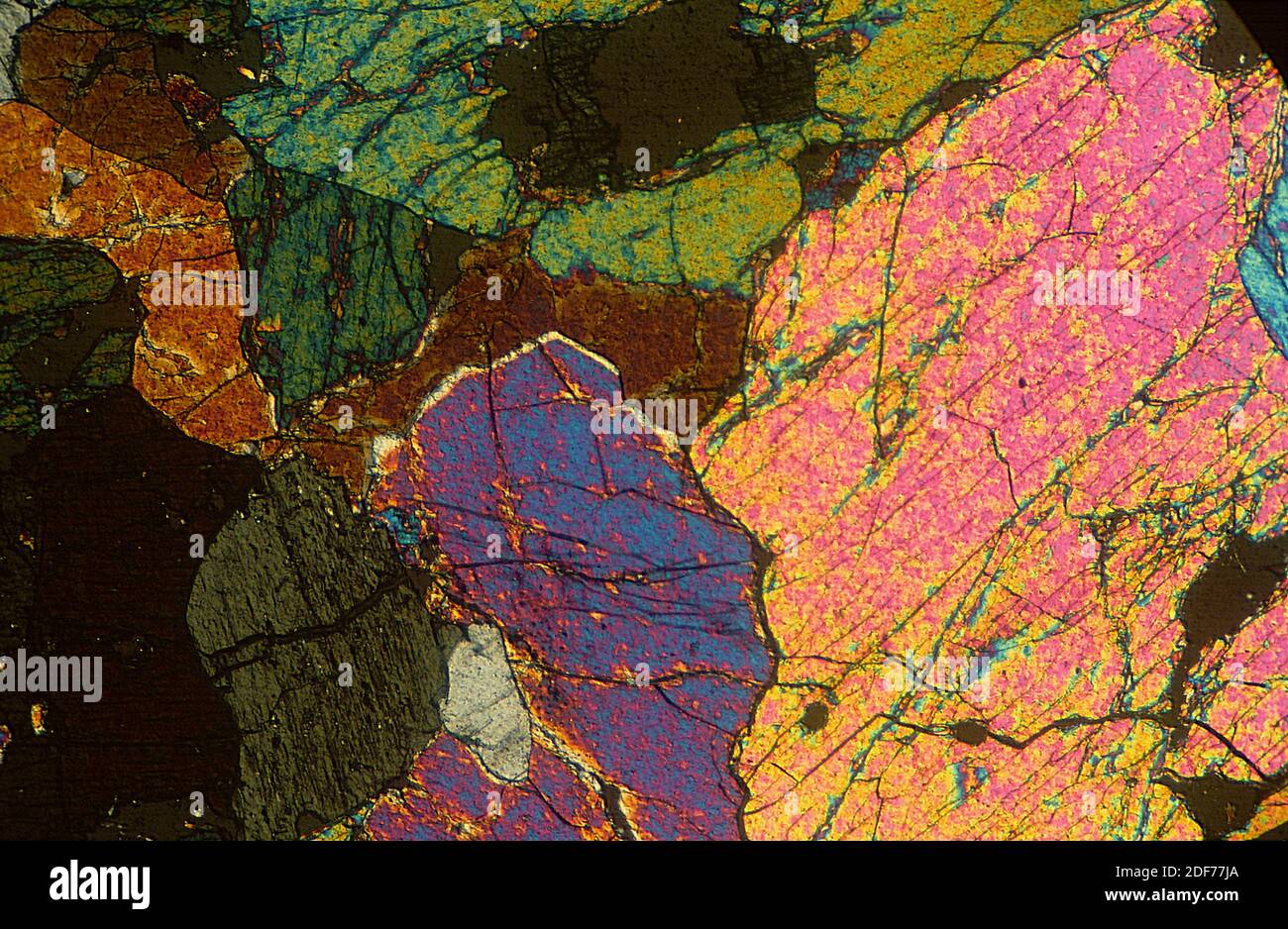 Dunite o olivinite è un igneo intrusivo rock ultramafico. Fotomicrografia, sezione sottile. Luce polarizzata. Foto Stock