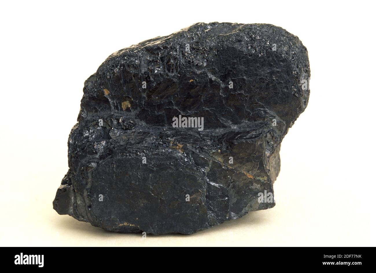 La lignite è una roccia sedimentaria organica. Campione. Foto Stock