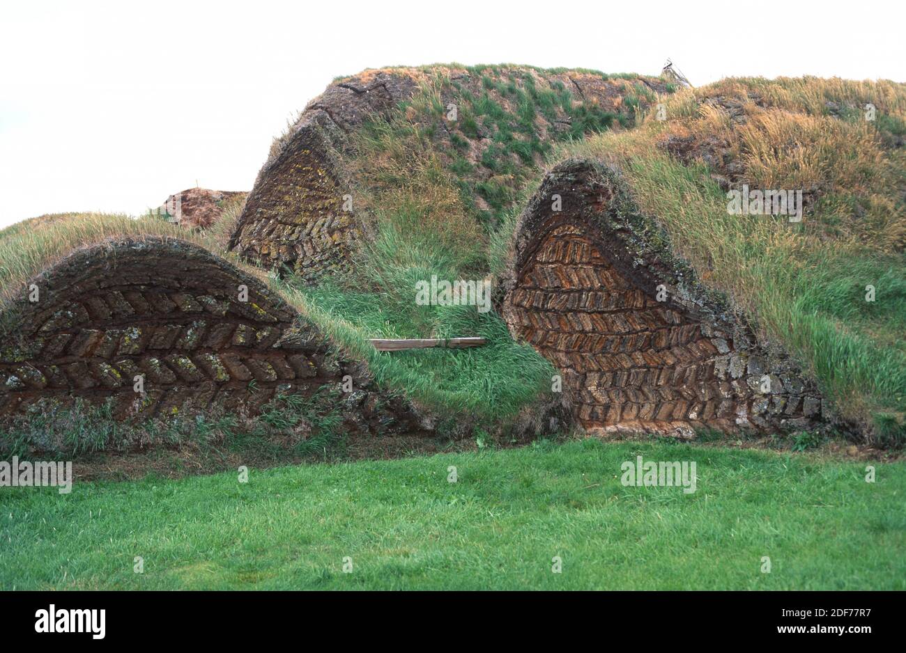 Torba utilizzata come materiale isolante tradizionale da costruzione in Islanda. Foto Stock