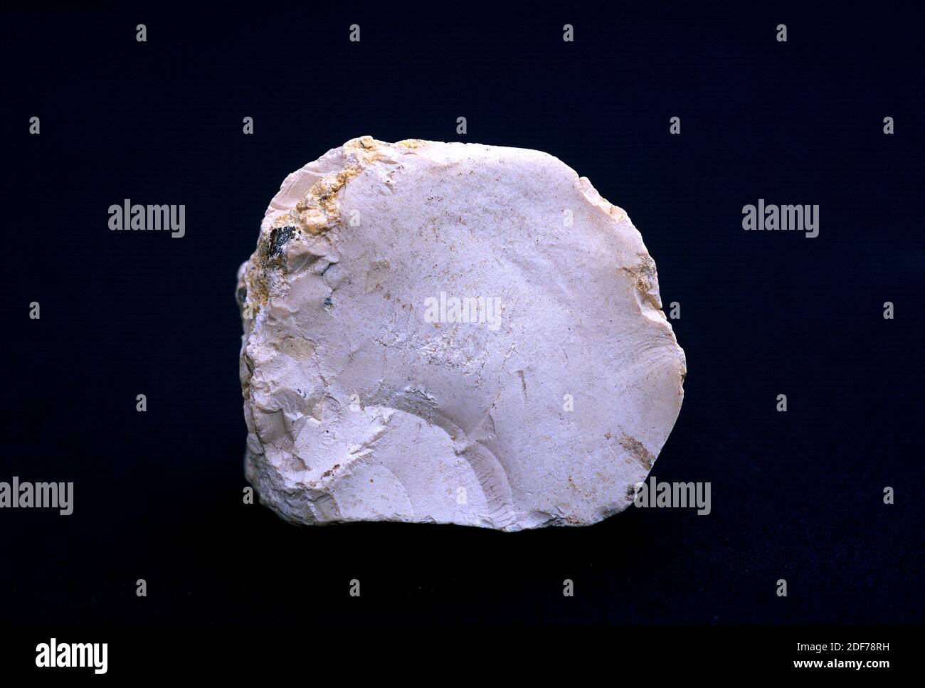 La sepiolite è un minerale di silicato di magnesio noto anche come schiuma del mare. Campione. Foto Stock