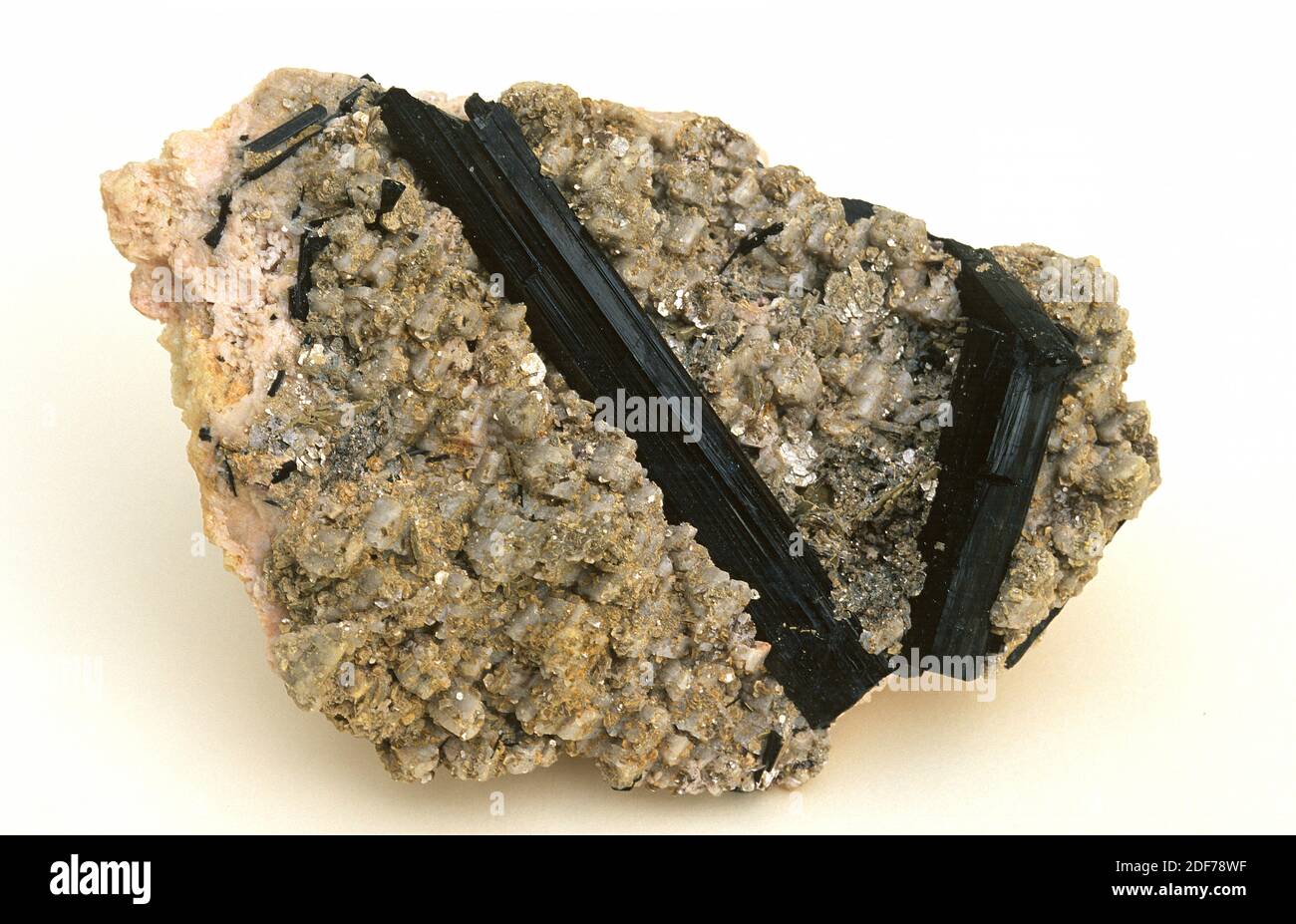 La tormalina è un minerale di silicato di boro. Cristalli prismatici neri  sulla matrice Foto stock - Alamy