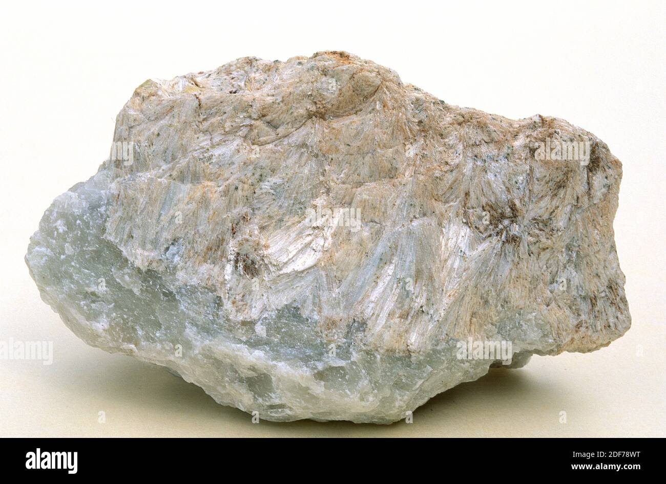 La wollastonite è un minerale di silicato di calcio. Campione. Foto Stock