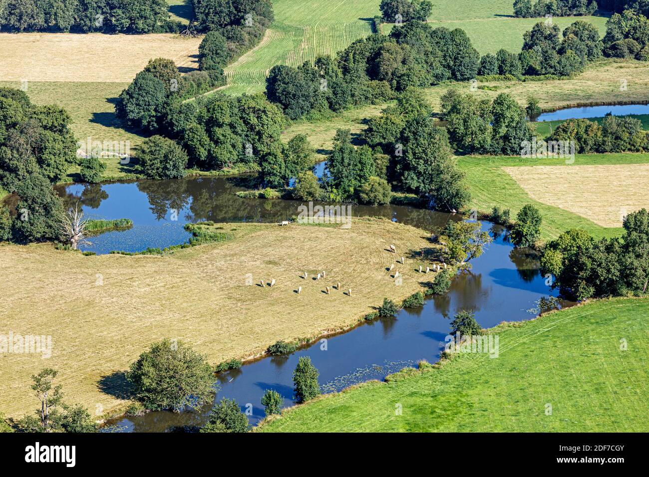 Francia, Vendee, la Pommeraie sur Sevre, fiume Sevre Nantaise (vista aerea) Foto Stock