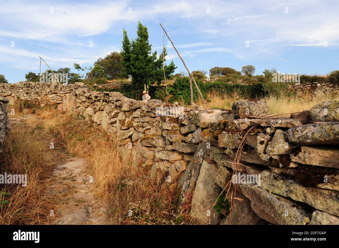 Muro di pietra a secco con cigüeñales. Sayago, provincia di Zamora, Castilla y Leon, Spagna. Foto Stock
