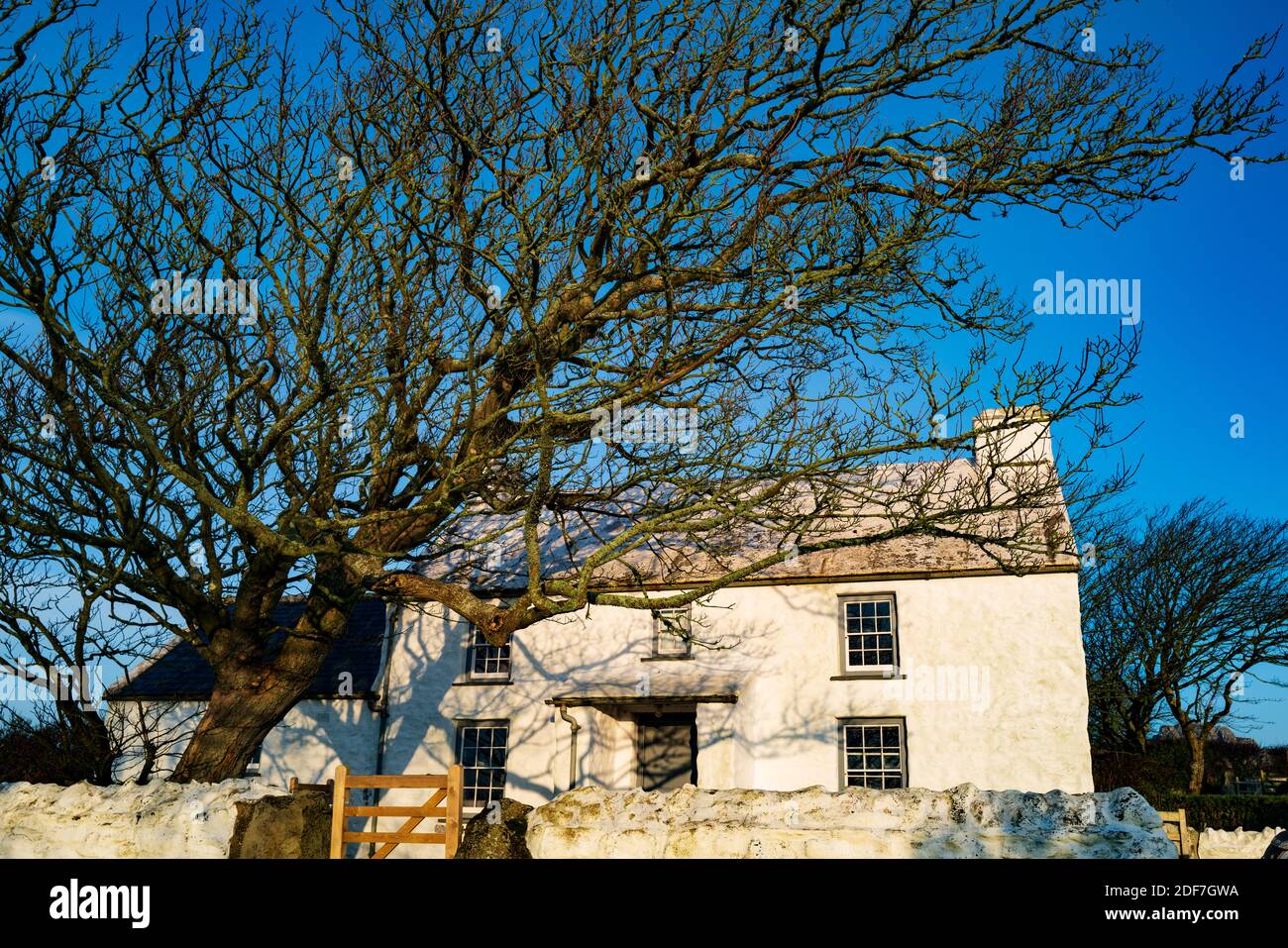 Bwthyn Trehilyn restaurò Miller's House, Pembrokeshire. Galles, Regno Unito Foto Stock