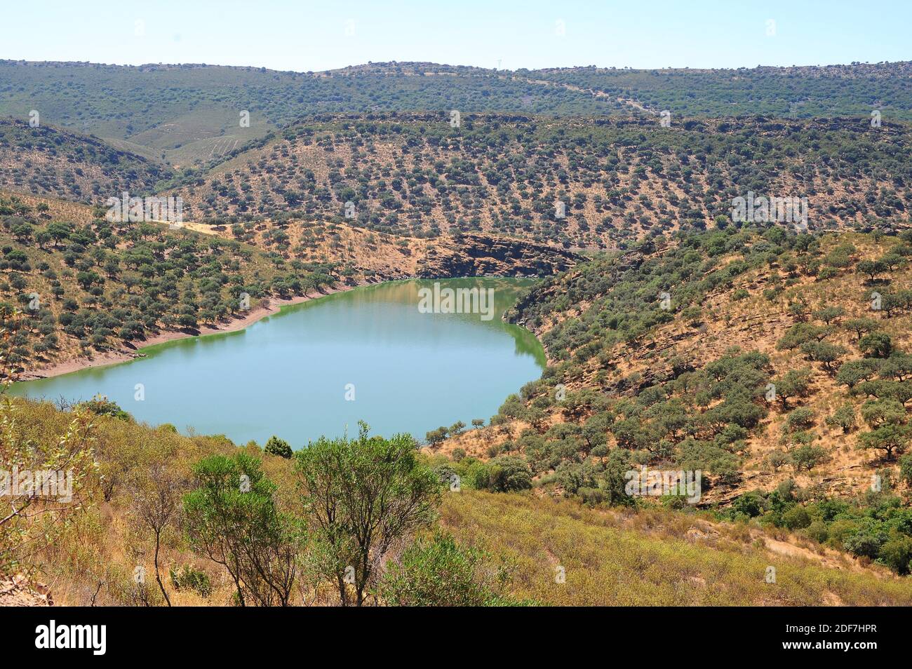 Parco Nazionale di Monfrague, fiume Tajo. Provincia di Caceres, Estremadura, Spagna. Foto Stock