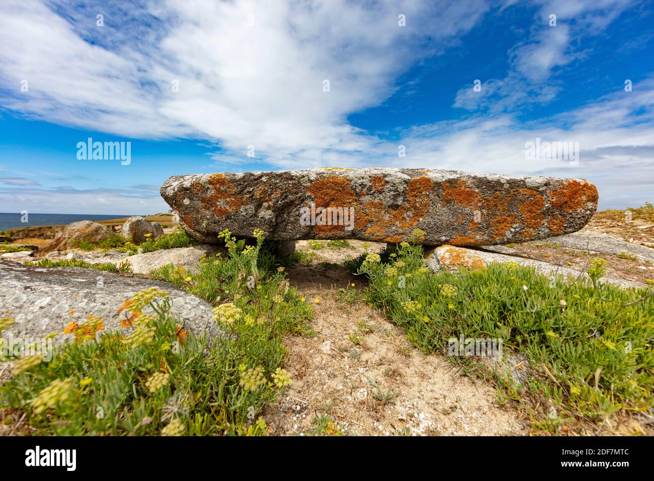 Francia, Morbihan, penisola di Quiberon, corridoio dolmen dal 4 ° millennio AC, Port Blanc sentiero escursionistico Foto Stock