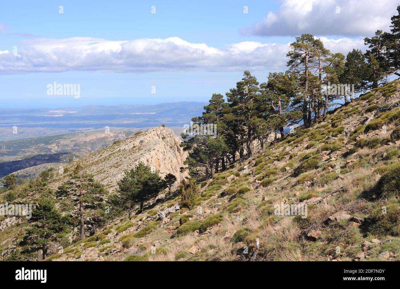 Parco Naturale di Penyagolosa, cima. Sistema Iberico, Castellon, Comunidad Valenciana, Spagna. Foto Stock