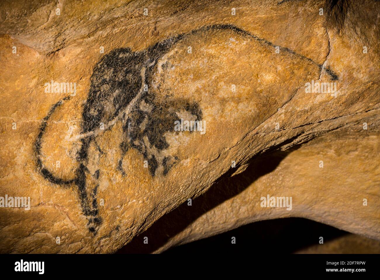 Francia, Ardeche, Vallon Pont d'Arc, Caverna di Pont d'Arc, replica esatta della grotta di Chauvet, patrimonio mondiale dell'UNESCO, mammut Foto Stock