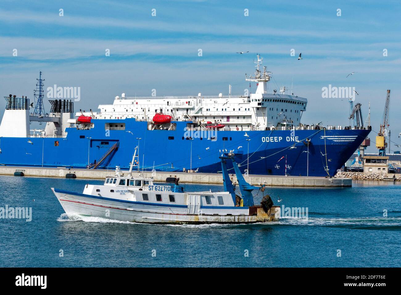 Francia, Herault, Sete, M?le Saint-Louis, porto commerciale, peschereccio da traino con una nave da carico sullo sfondo Foto Stock