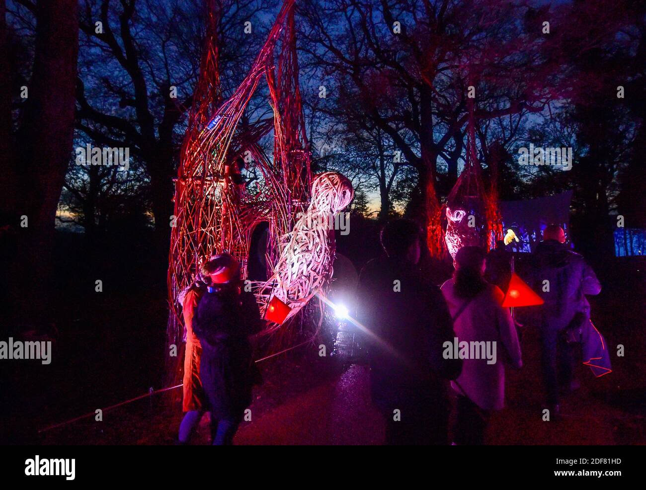 Wakehurst , Haywards Heath UK 3 dicembre 2020 - i visitatori si godono la notte di apertura del Glow Wild Lantern Trail a Wakehurst in Sussex, che quest'anno celebra gli eroi nascosti del mondo naturale. I punti salienti includono teste di semi di dente di leone galleggianti giganti, un campo di funghi da favola e l'albero di Natale più alto del Regno Unito: Credit Simon Dack / Alamy Live News Foto Stock