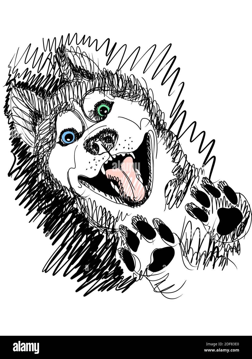 Illustrazione digitale disegnata a mano di un divertente husky shaggy con la sua lingua che si stacca Foto Stock