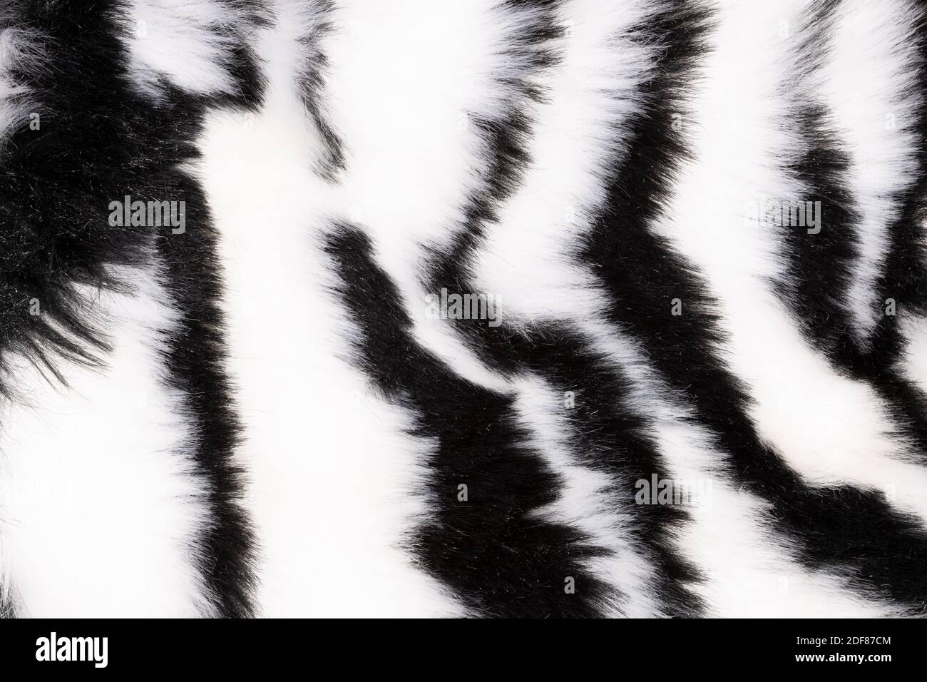 pelliccia con strisce bianche nere Foto stock - Alamy
