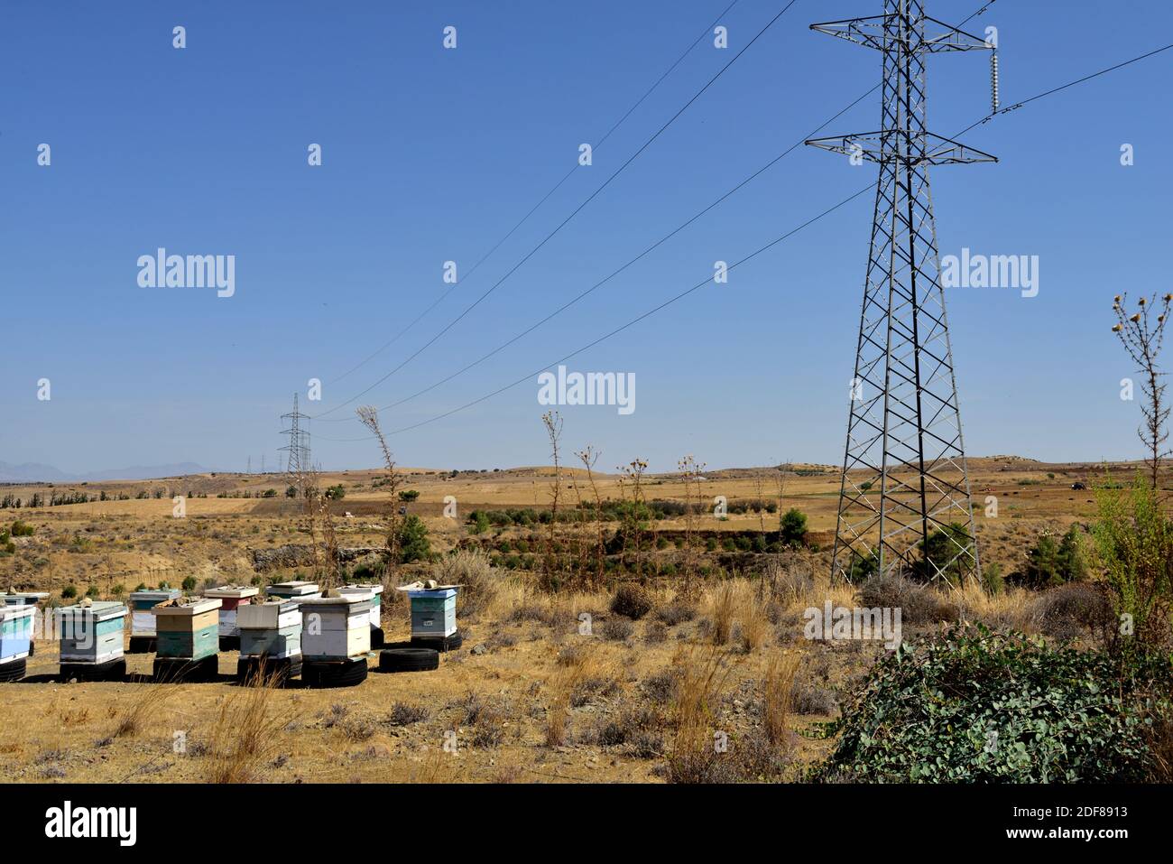 Ape alveari su vecchi pneumatici auto in marrone, paesaggio secco della Cipro rurale meridionale con piloni elettrici e linee elettriche Foto Stock