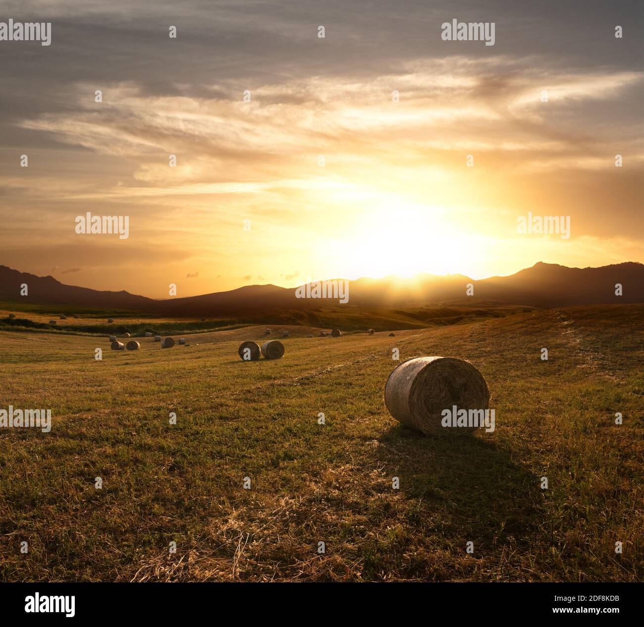 cielo drammatico al tramonto sul campo di raccolta di rotoli di fieno Foto Stock