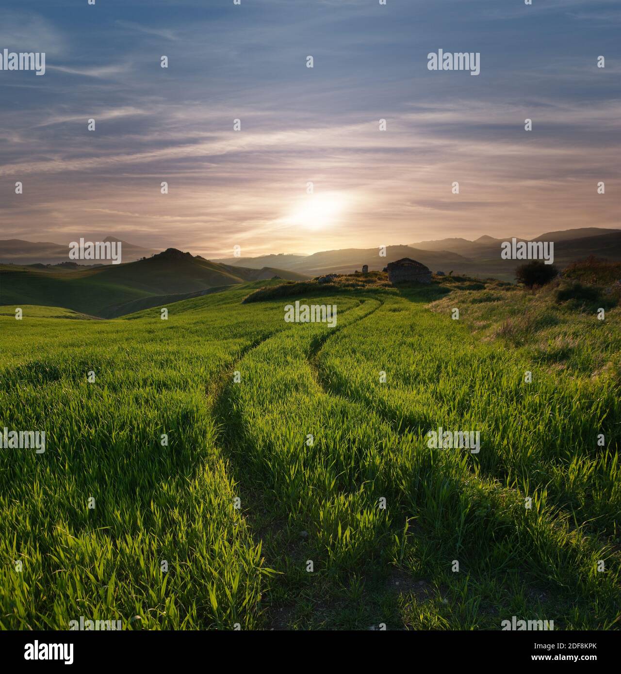 sentiero tortuoso attraverso un campo di erba verde contro le nuvole di cirrus del cielo al tramonto Foto Stock