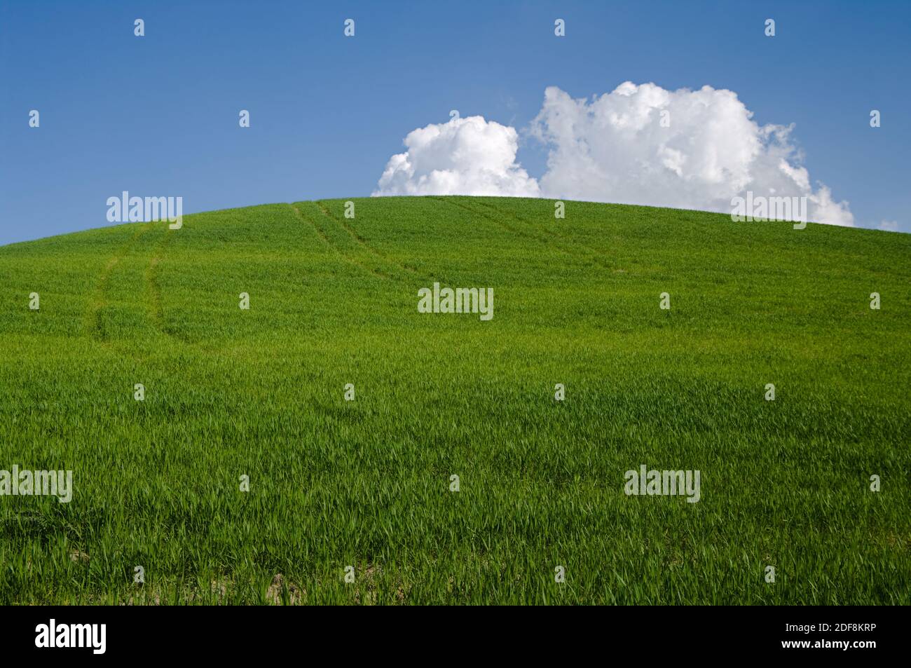 collina verde con nuvole bianche Foto Stock