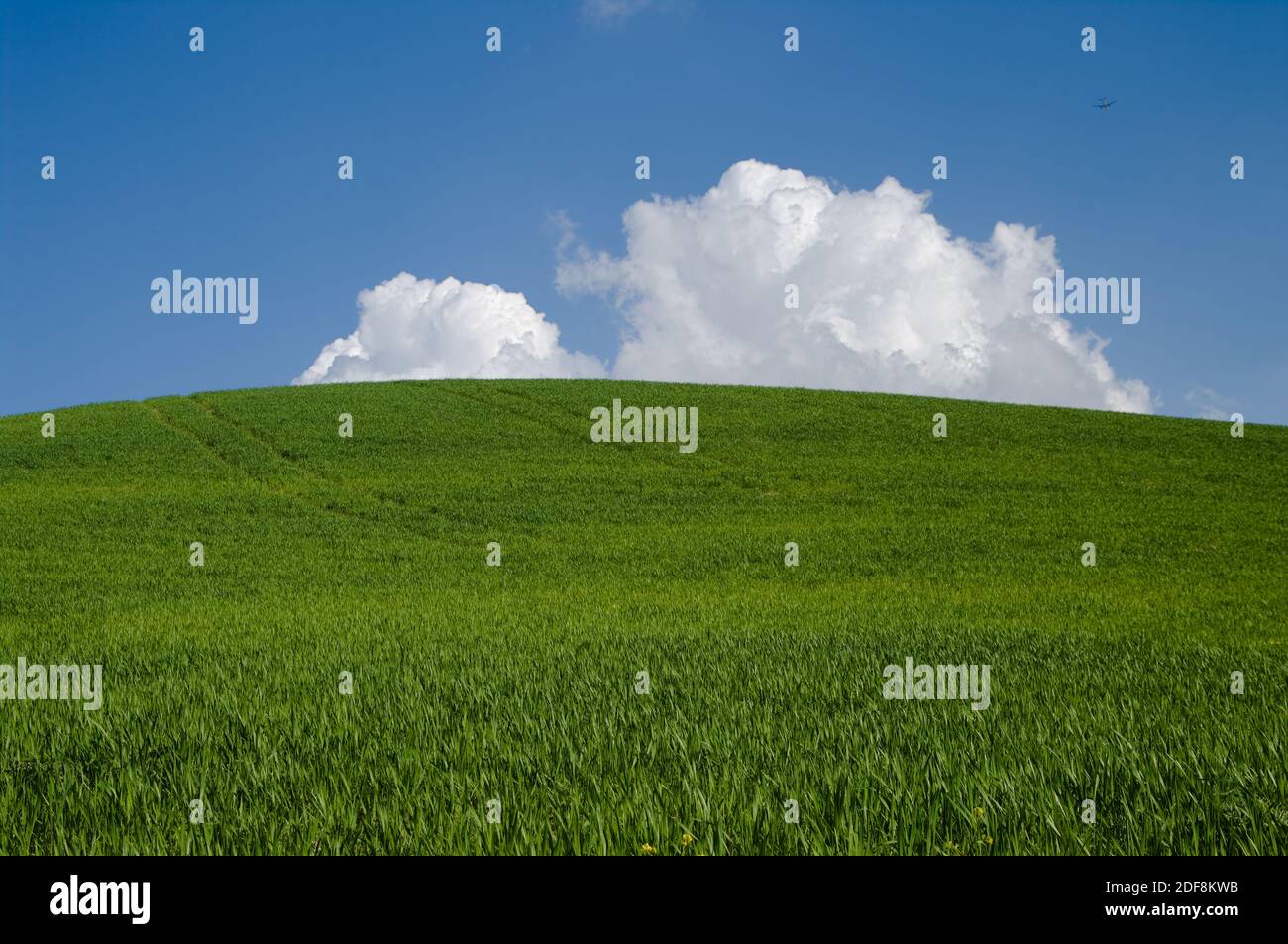 collina verde con nuvole bianche Foto Stock