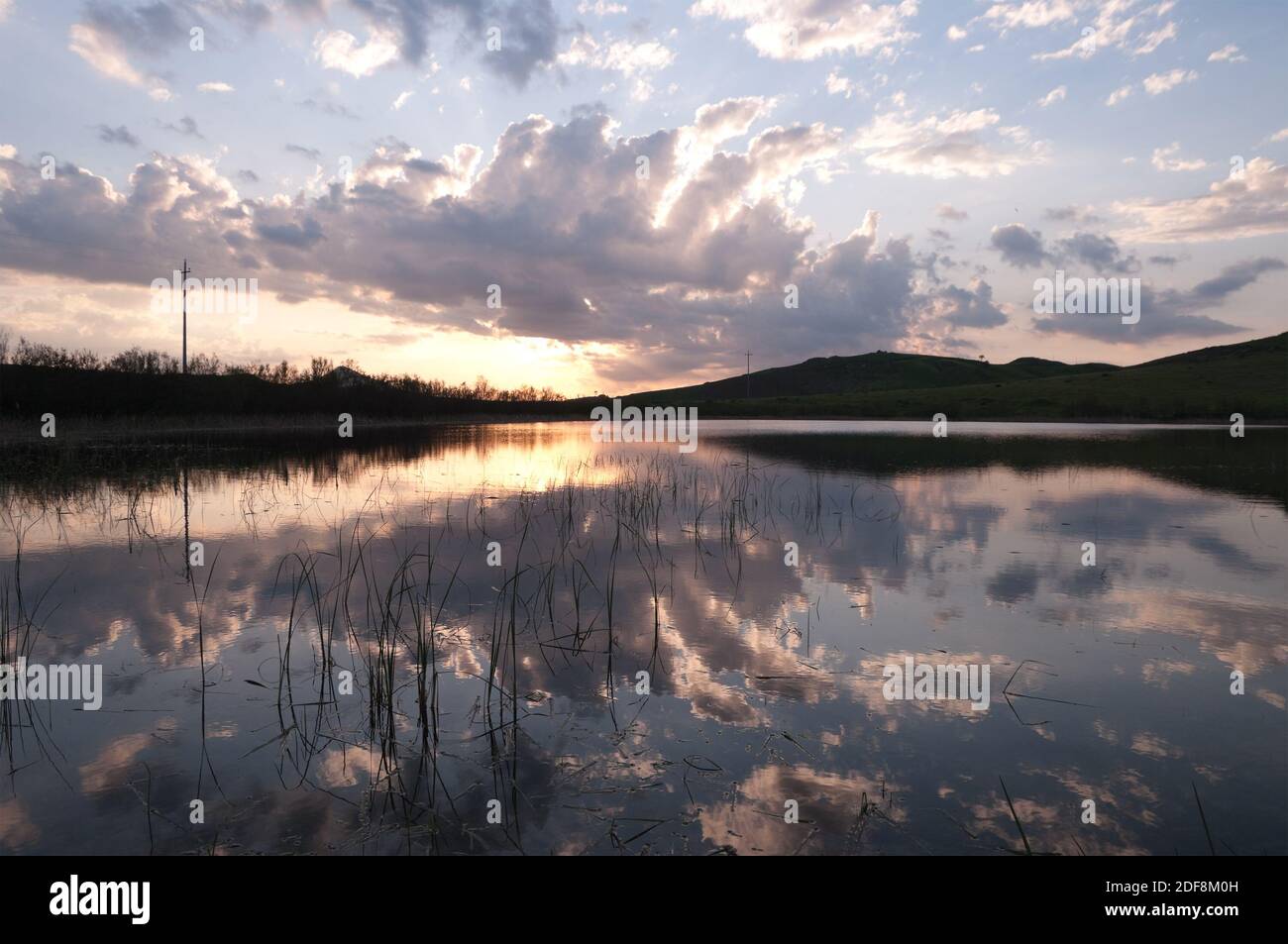stagno con steli di piante acquatiche sta riflettendo le nuvole al tramonto Foto Stock