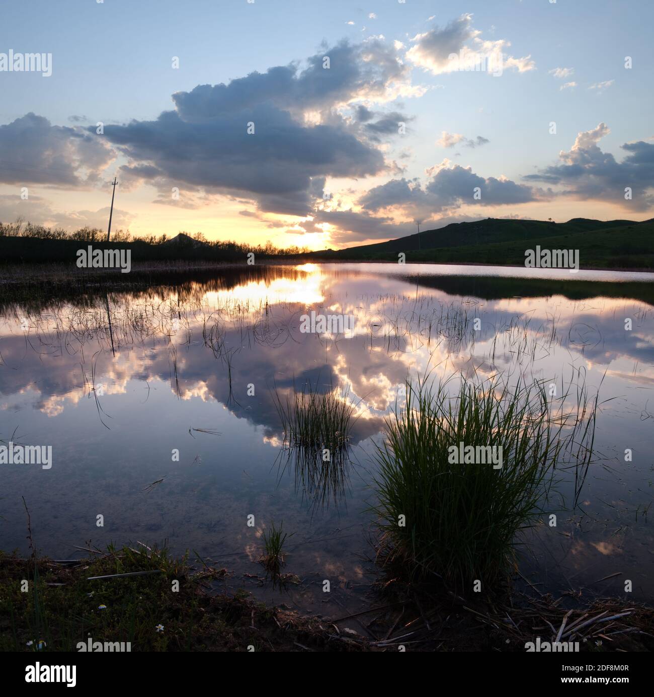 laghetto con ciuffi di piante acquatiche riflette le nuvole al tramonto Foto Stock