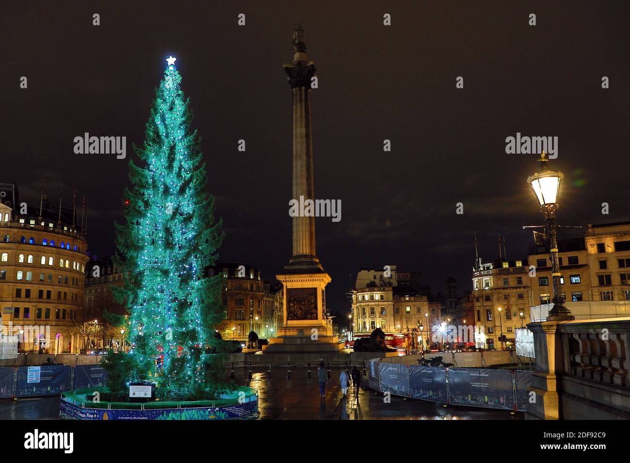 Londra, Regno Unito. 3 dicembre 2020. Trafalgar Square Christmas Tree Lights ON in Trafalgar Square, London Credit: Paul Brown/Alamy Live News Foto Stock