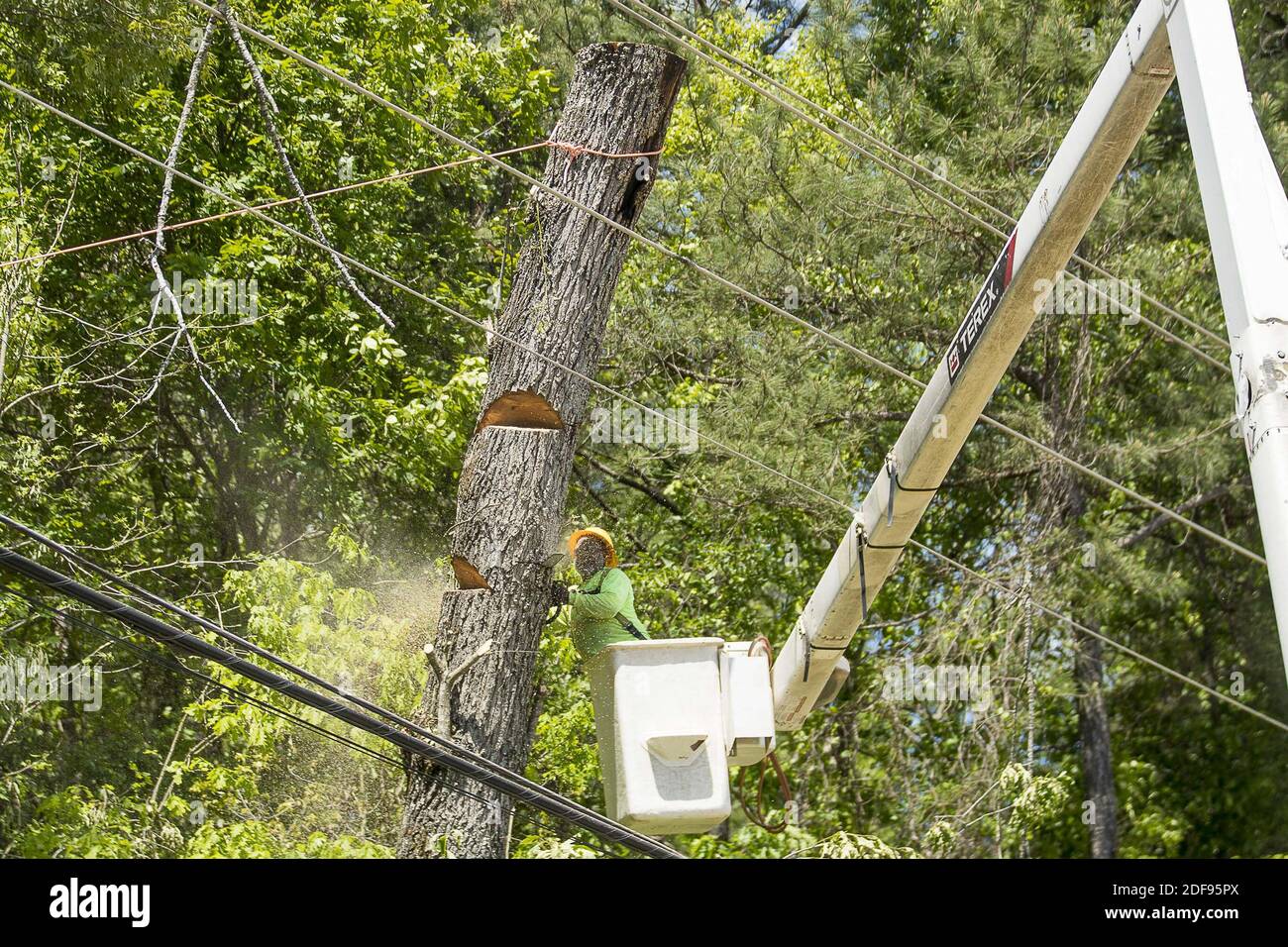 NO FILM, NO VIDEO, NO TV, NO DOCUMENTARIO - Union City, Georgia Kendall vegetation Services trimmer Johnny McDowell lavora per tagliare un albero di Red Oak che è stato danneggiato durante una tempesta potente in Union City, Lunedi, 13 aprile 2020. Foto di Alyssa Pointer/Atlanta Journal-Constitution/TNS/ABACAPRESS.COM Foto Stock