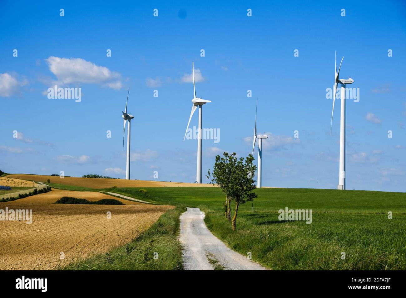 Turbine eoliche nel mezzo di campi di grano. Illustrazione delle centrali eoliche di Lauragais (vicino a Tolosa, Francia meridionale), il 19 maggio 2020. Foto di Patrick Batard/ABACAPRESS.COM Foto Stock