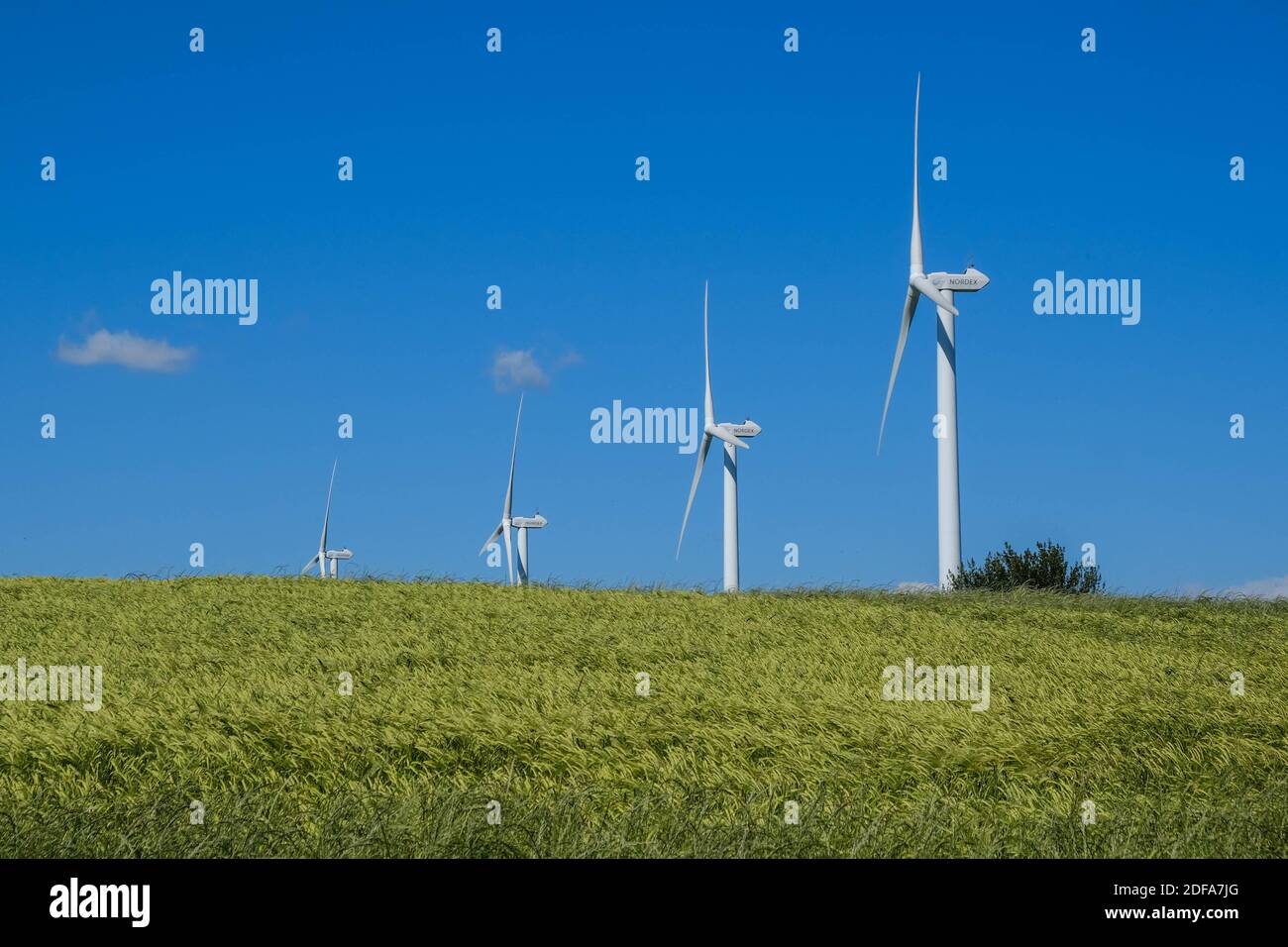 Turbine eoliche nel mezzo di campi di grano. Illustrazione delle centrali eoliche di Lauragais (vicino a Tolosa, Francia meridionale), il 19 maggio 2020. Foto di Patrick Batard/ABACAPRESS.COM Foto Stock