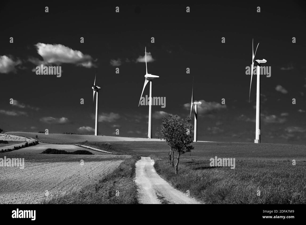 Grafica in bianco e nero. Turbine eoliche nel mezzo di campi di grano. Illustrazione delle centrali eoliche di Lauragais (vicino a Tolosa, Francia meridionale), il 19 maggio 2020. Foto di Patrick Batard/ABACAPRESS.COM Foto Stock