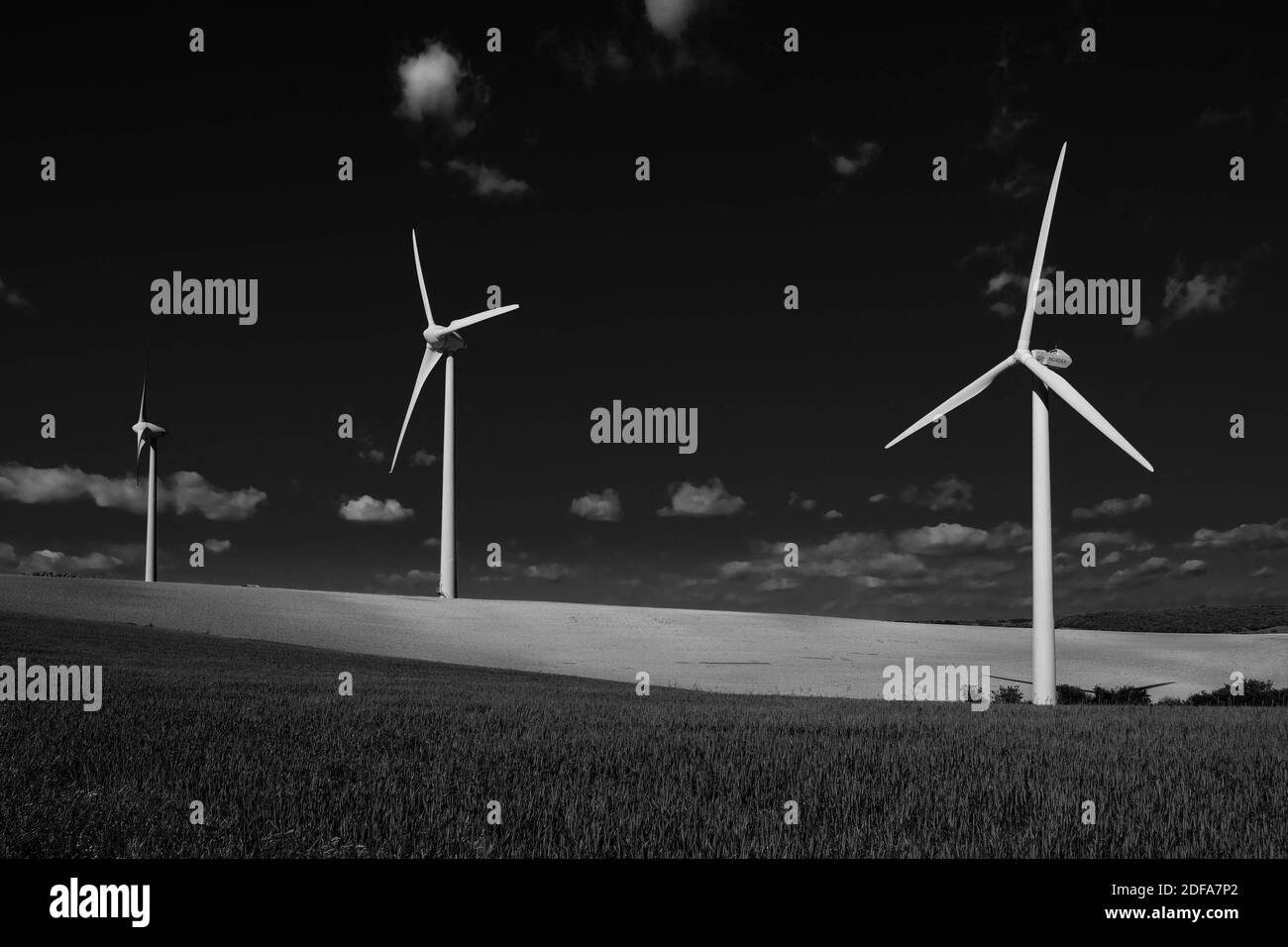 Grafica in bianco e nero. Turbine eoliche nel mezzo di campi di grano. Illustrazione delle centrali eoliche di Lauragais (vicino a Tolosa, Francia meridionale), il 19 maggio 2020. Foto di Patrick Batard/ABACAPRESS.COM Foto Stock