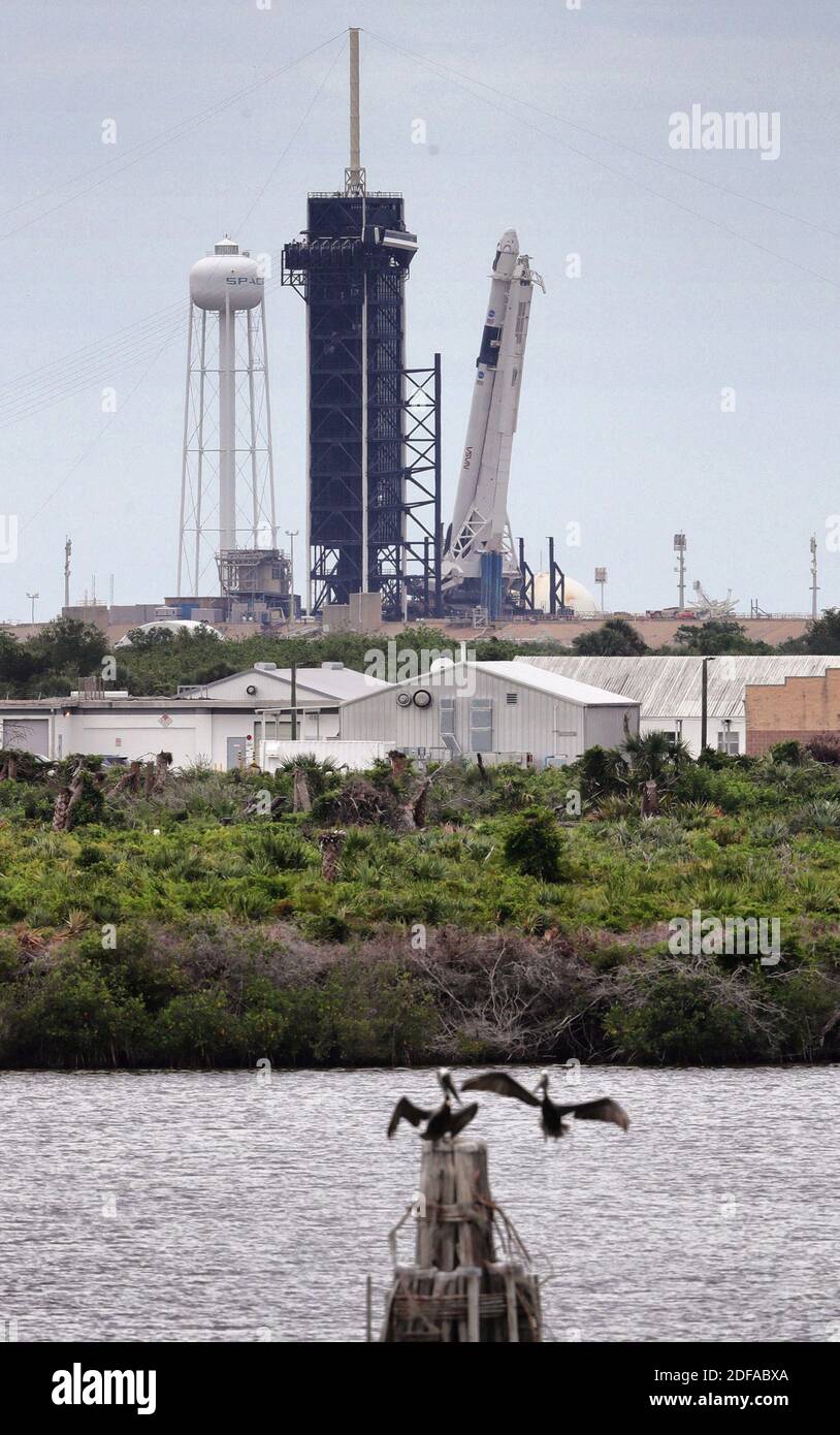 NO FILM, NO VIDEO, NO TV, NO DOCUMENTARIO - il razzo Space X Demo-2 Falcon 9, con la capsula Crew Dragon in cima, è sollevato alla sua posizione verticale al Launch Pad 39-A al Kennedy Space Center, FL, USA, martedì 26 maggio 2020, in preparazione per il lancio Mercoledì pomeriggio. Foto di Joe Burbank/Orlando Sentinel/TNS/ABACAPRESS.COM Foto Stock