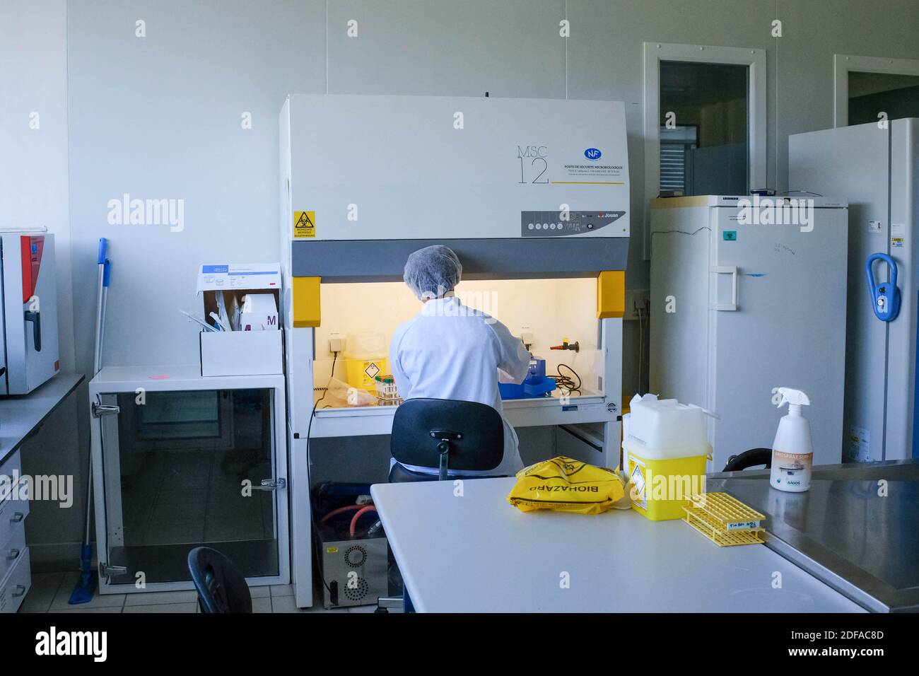 Un assistente di laboratorio, con maschera, guanti e charlotte, elabora vari campioni. A Tolosa (Francia), il laboratorio dipartimentale LD31 EVA è stato impegnato per 15 giorni in screening per Covid-19. Di solito, le sue missioni sono centrate sulla salute animale e vegetale, l'igiene alimentare, l'aria e l'acqua; ma dall'inizio dell'epidemia, e di fronte alla massiccia necessità di rintracciare il virus, i suoi team hanno adattato le loro attività: Ora, possono eseguire 4,000 test di screening alla settimana. 27 maggio 2020. Foto di Patrick Batard/ABACAPRESS.COM Foto Stock