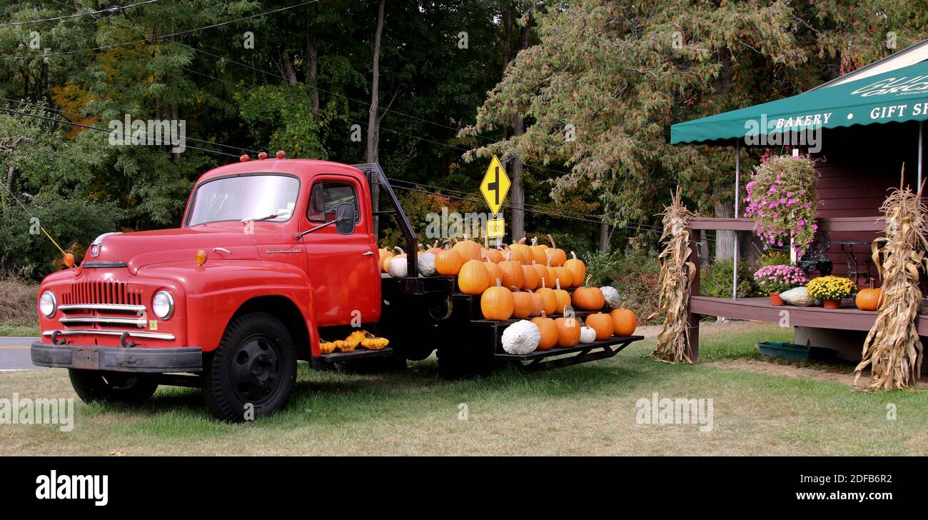 Classic Red camion usato internazionale utilizzato come un display di zucca Foto Stock