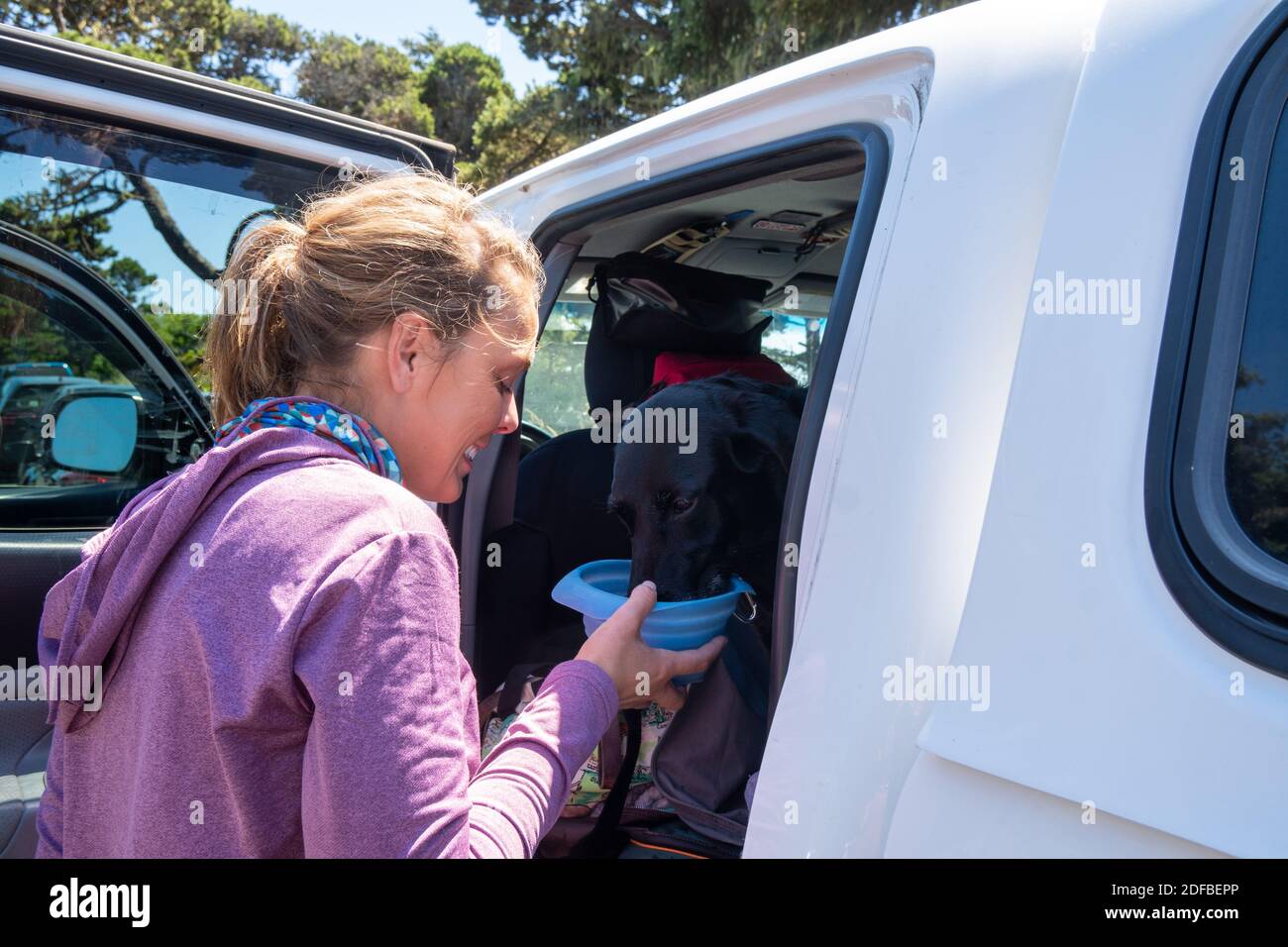 Oregon, Stati Uniti d'America - 1 agosto 2020: La donna felice alimenta il suo cane da una ciotola di viaggio, fuori dal sedile posteriore di un camion in un viaggio su strada Foto Stock