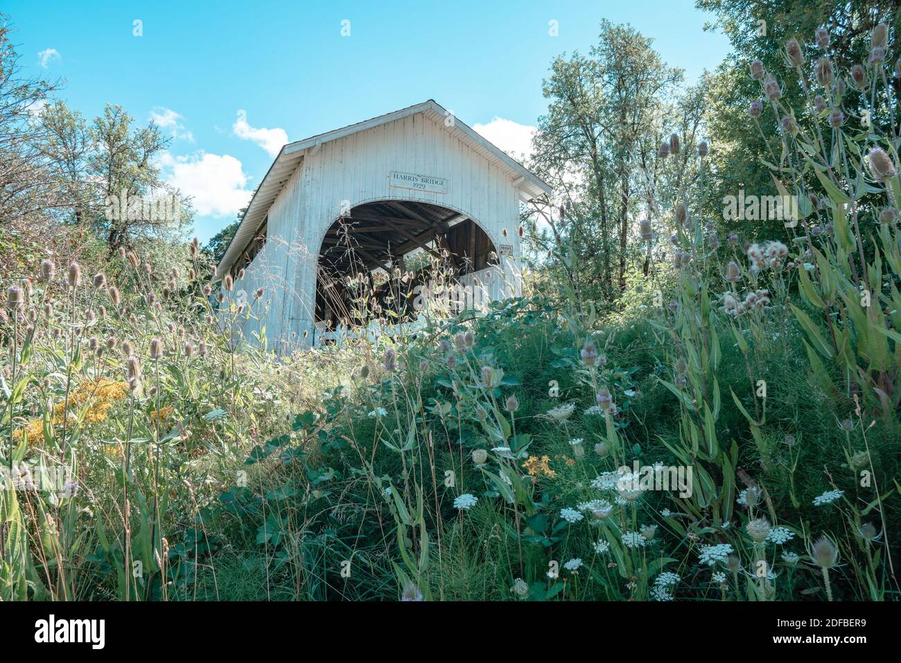 Il ponte coperto Harris a Philomath, Oregon, costruito nel 1929. Filtro artistico applicato Foto Stock