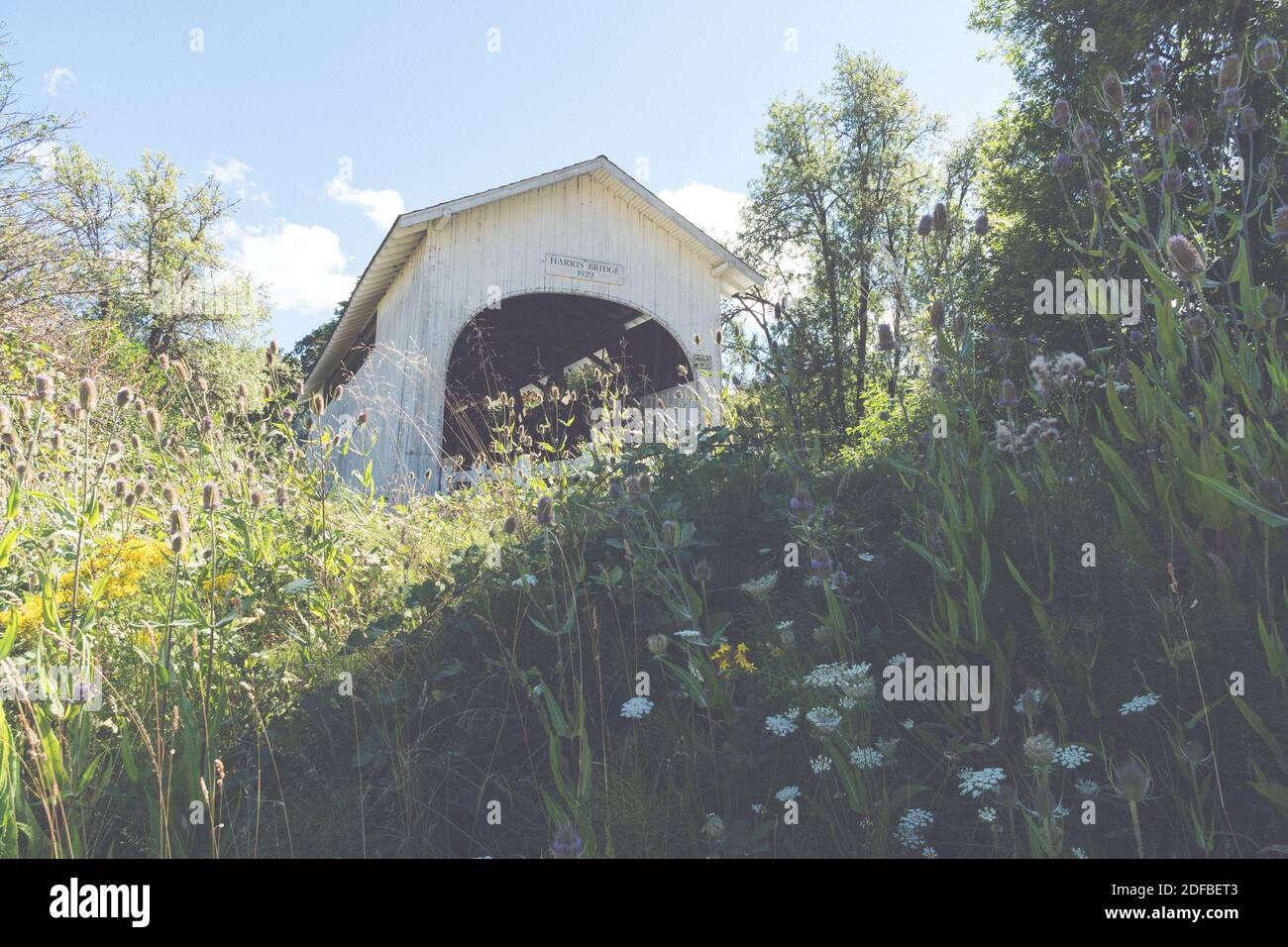 Il ponte coperto Harris a Philomath, Oregon, costruito nel 1929. Filtro artistico applicato Foto Stock