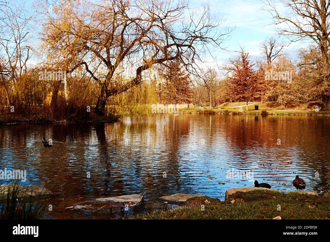 Acque tranquille nel tranquillo lago nel parco pubblico autunnale. Parco cittadino di Praga Foto Stock