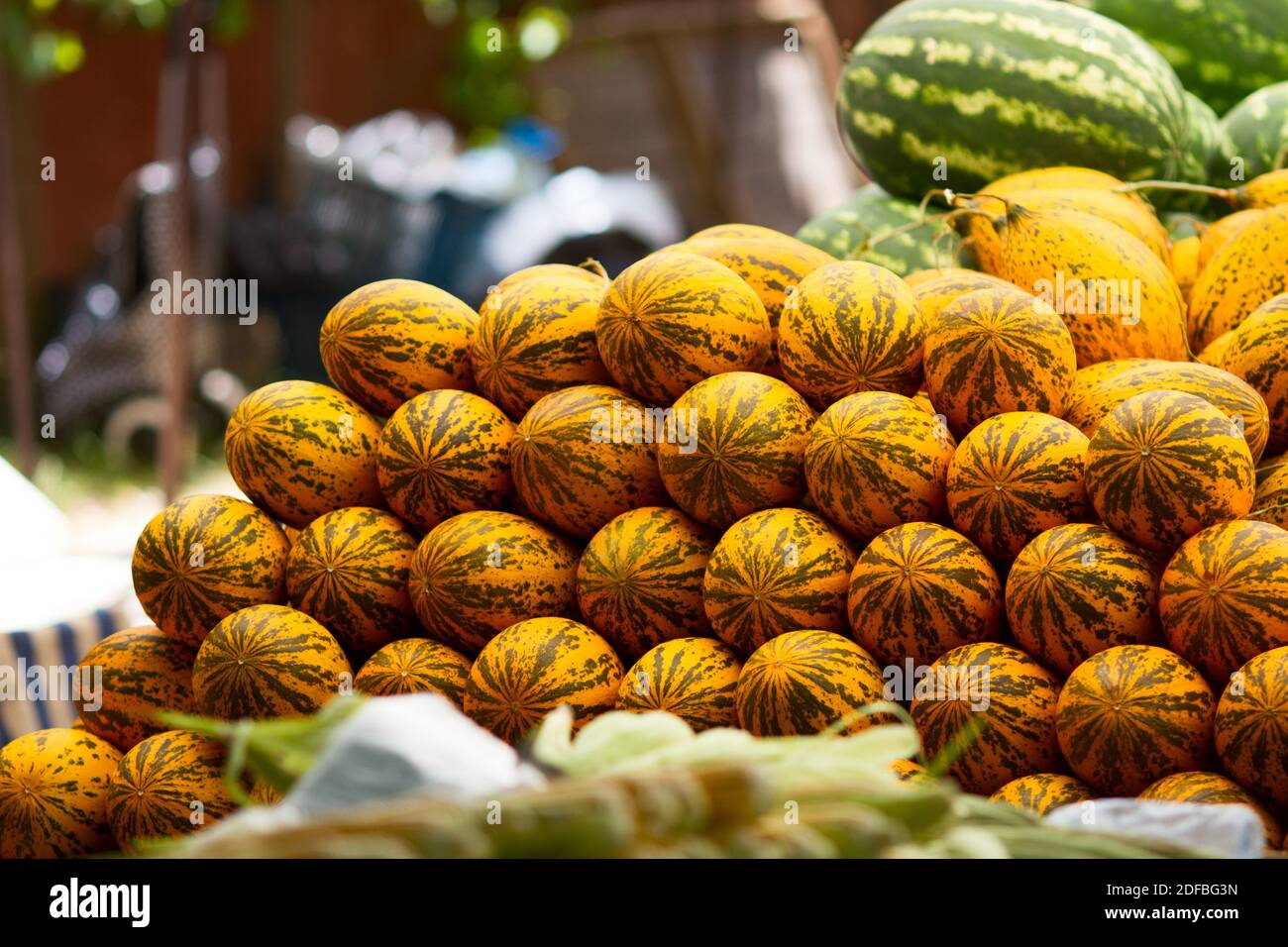 Meloni gialli in esposizione al mercato agricolo. Cibo fresco e sano. Mercati all'aperto Foto Stock