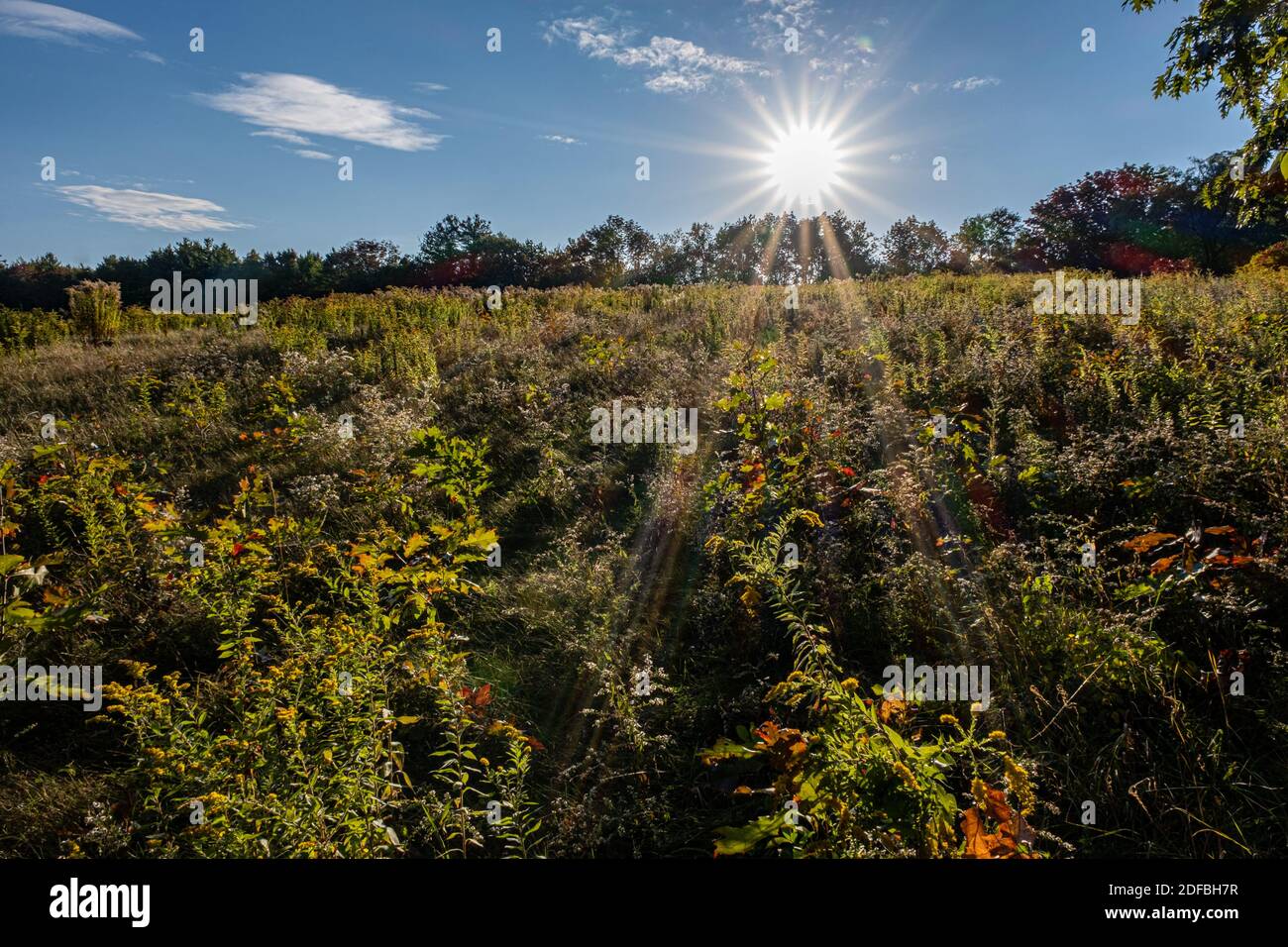 Il sole tramonta su un prato a Phillipston, Massachusetts Foto Stock