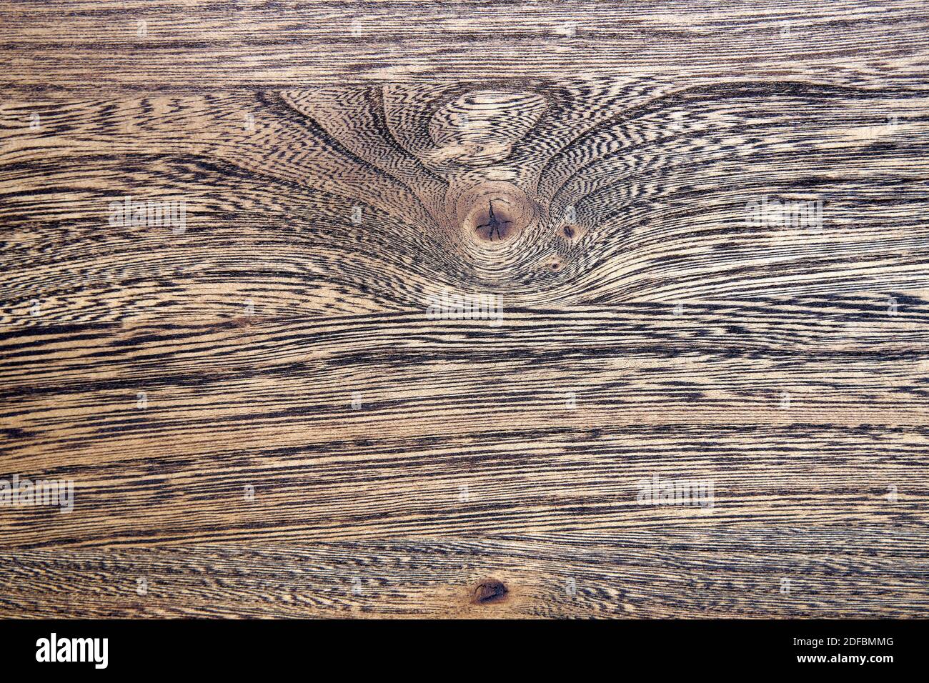 Struttura in legno. Struttura in legno di olmo. Primo piano pannello incollato bordo in legno Elm Foto Stock