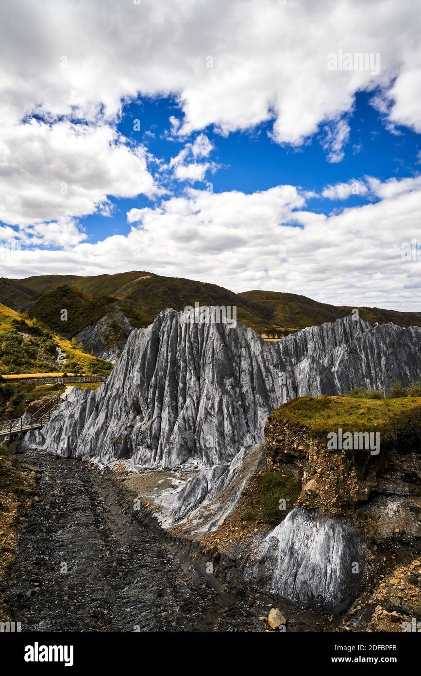 La Foresta di pietra di Gamei è l'unico paesaggio della foresta di pietra dell'altopiano della Cina, un impressionante e unico parco geologico chiamato Moshi Park (Foresta di pietra). Foto Stock