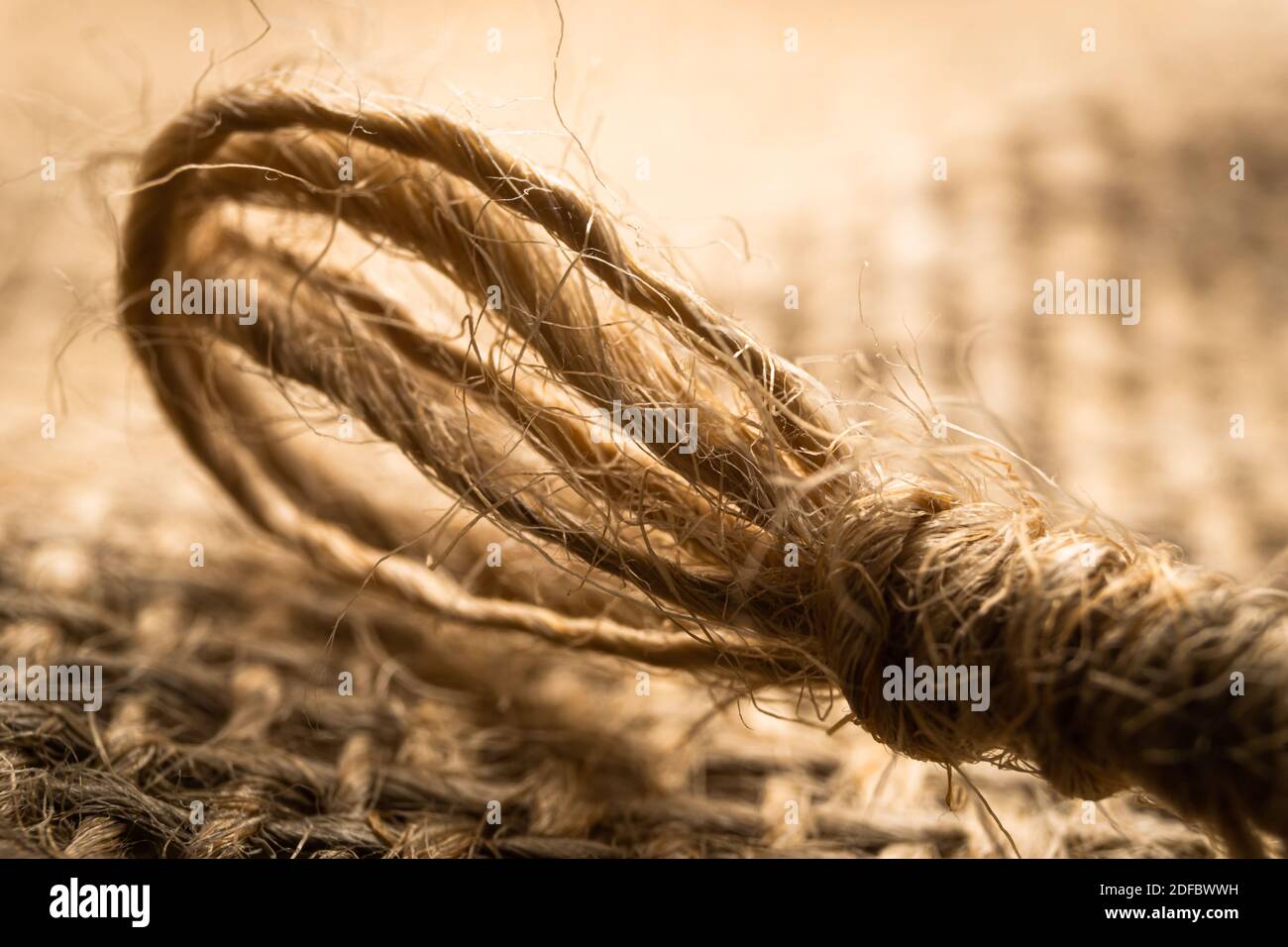 Corda di lino macro isolata su fondo di tessuto di lino Foto Stock