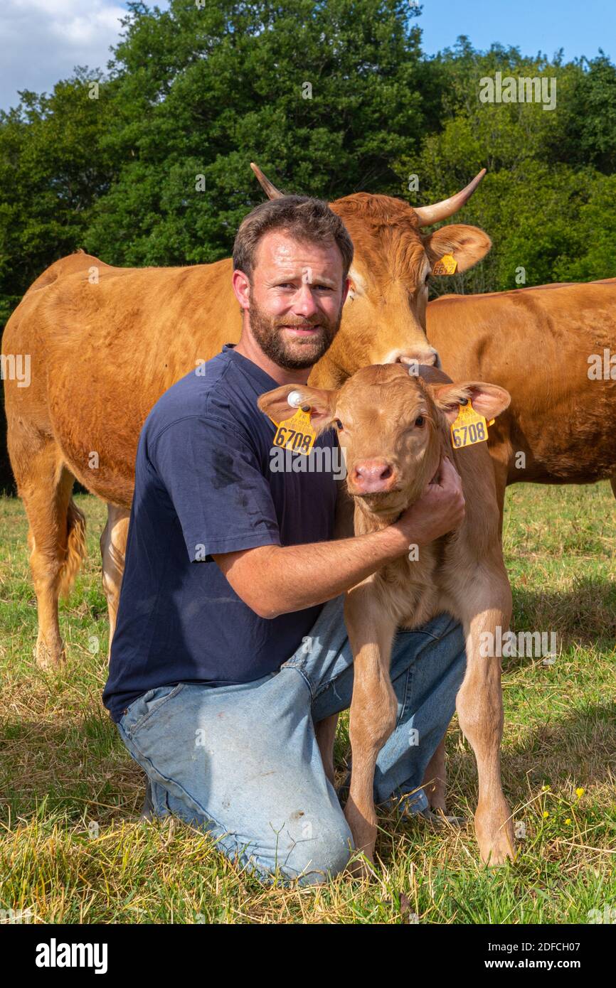 XAVIER CARRE, ALLEVATORE DI MUCCHE LIMOUSIN, LES BOTTBEREAUX, EURE, NORMANDIA, FRANCIA, EUROPA Foto Stock