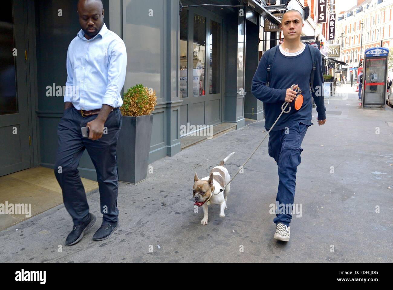 Londra, Inghilterra, Regno Unito. Uomo che cammina il suo cane vicino a Covent Garden Foto Stock