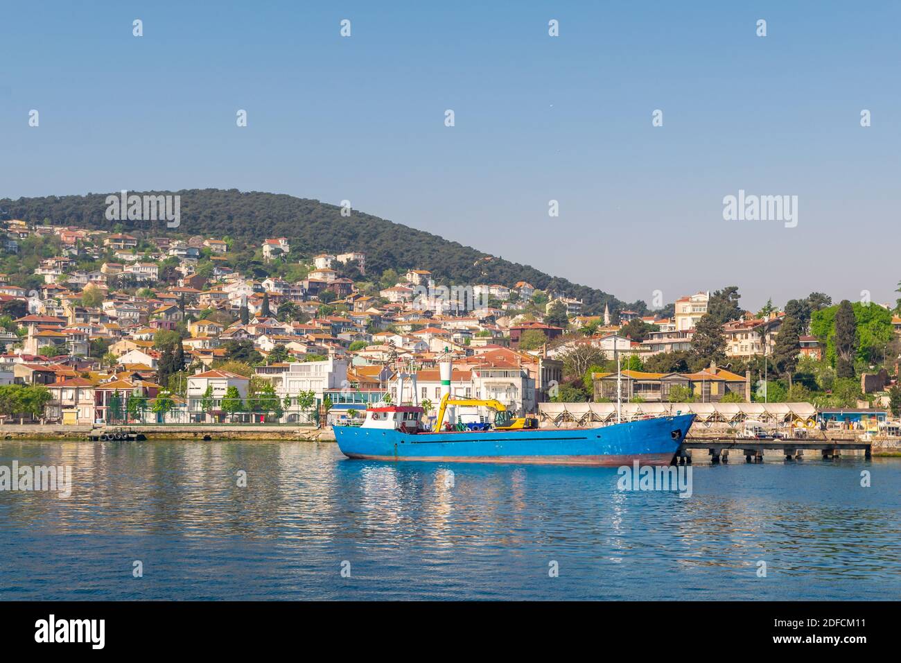 Vista dell'isola di Heybeliada dal mare con case estive. L'isola è la seconda più grande di quattro isole chiamate Isole dei principi nel mare di Marmara, vicino Istanbul, Turchia Foto Stock