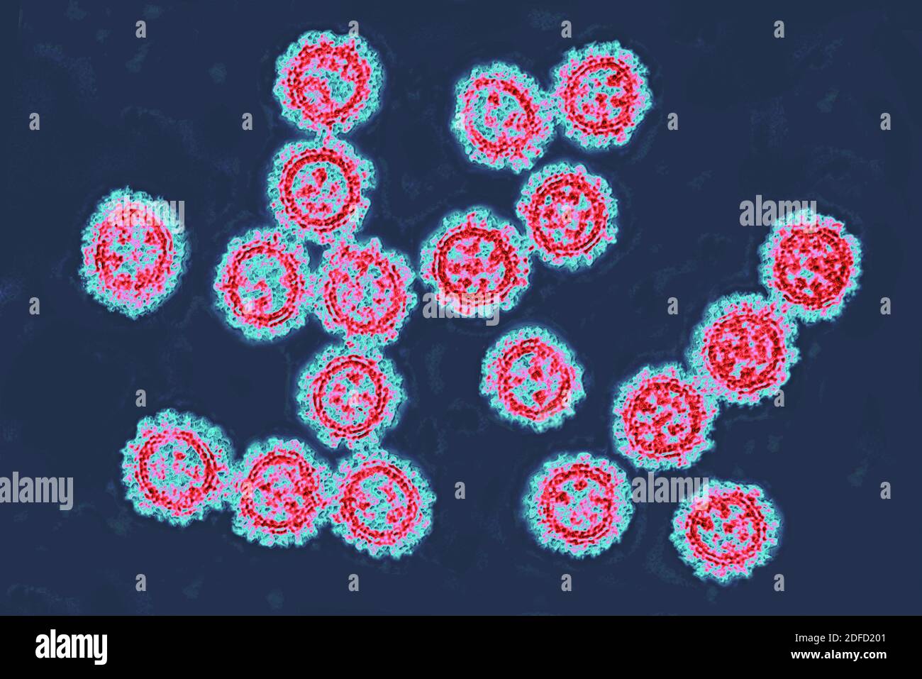 Coronavirus Foto Stock